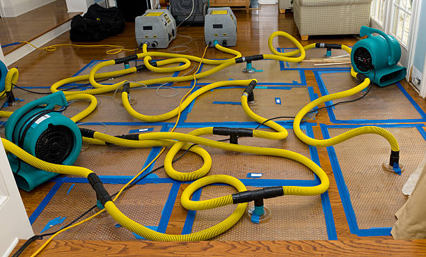 Professional Water Damage Repair technician working in Brookshire, TX